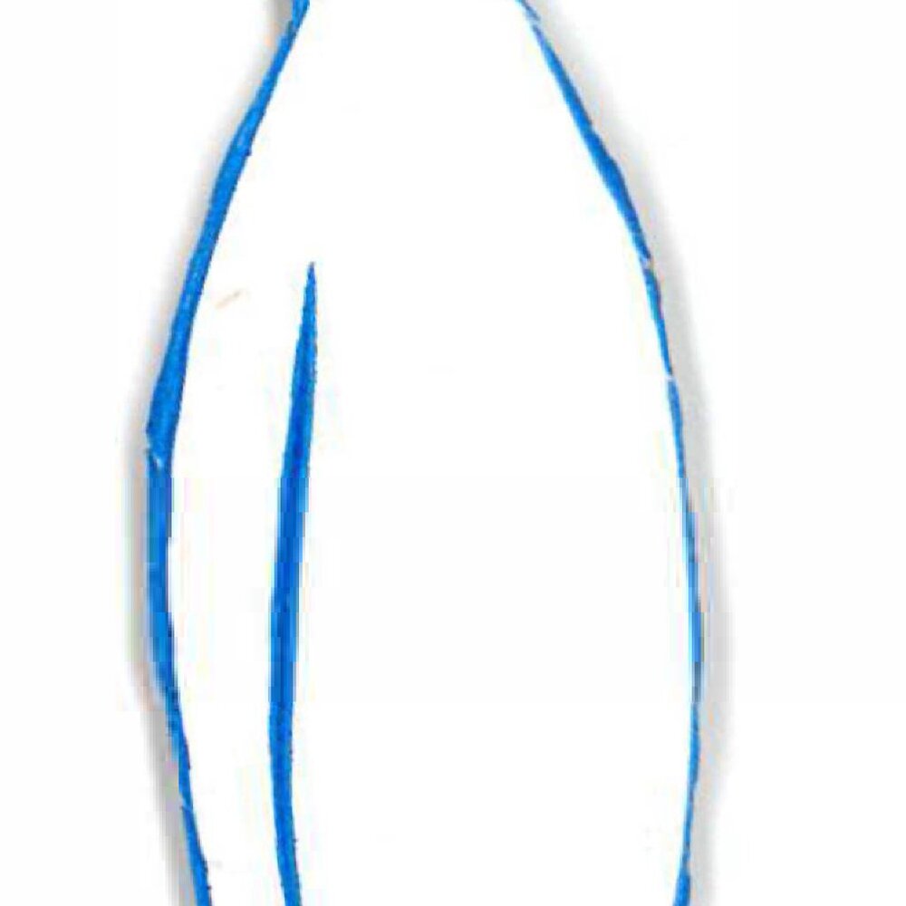 Poshmark wont delete this post